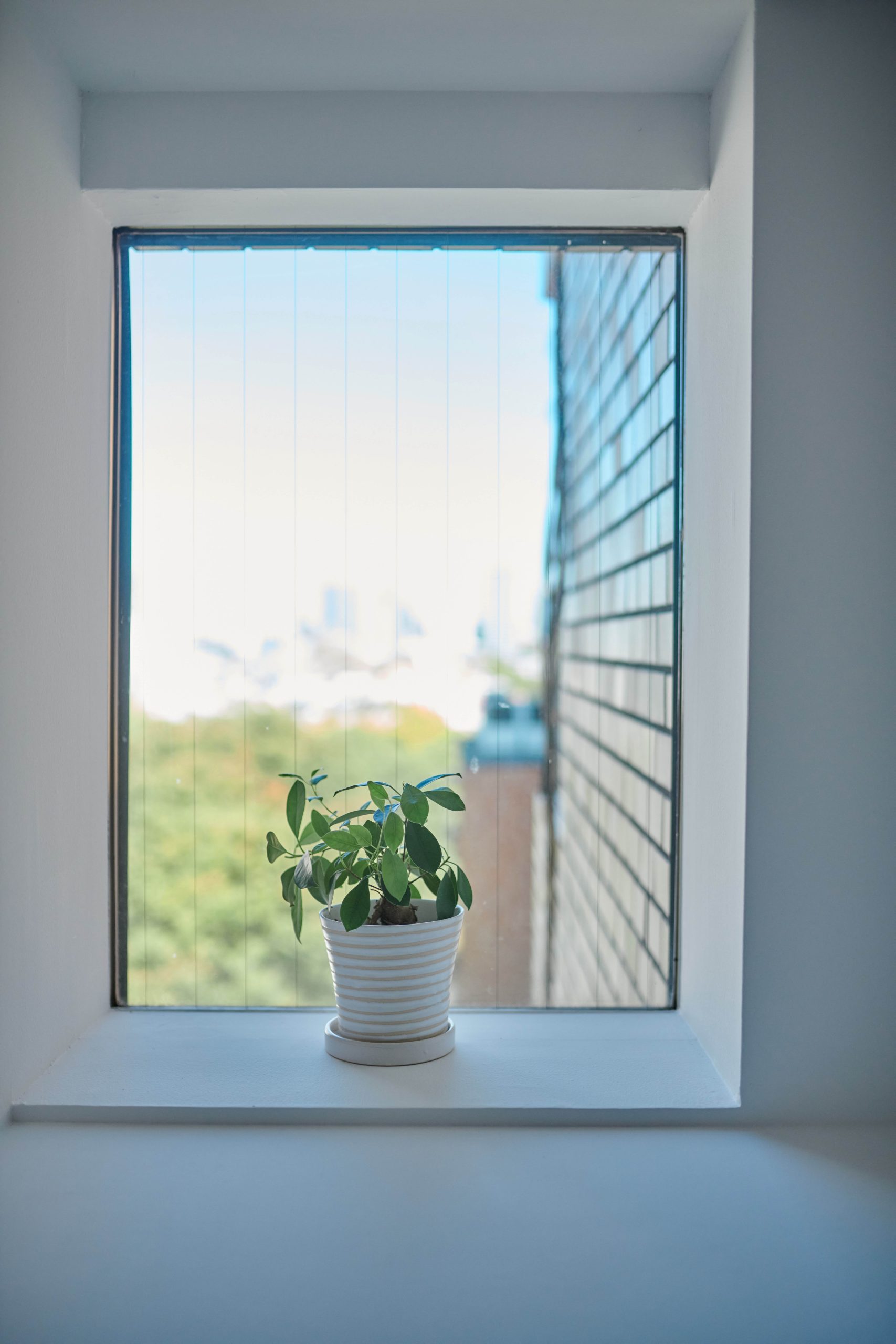 港區高樓住宅窗景紀錄|開窗策略判讀與景觀保留條件分析