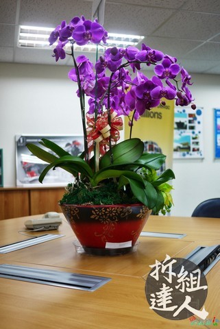 會議桌中央紫色蘭花植栽作為低彩空間中的高彩節點