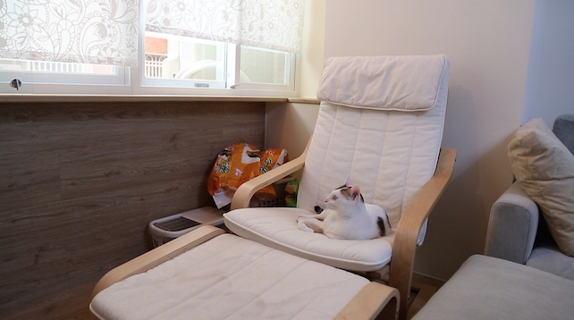 Read more about the article 桃園「就是教不落」居家工作室案例｜單層關係分區 × 隔離與交會節點配置